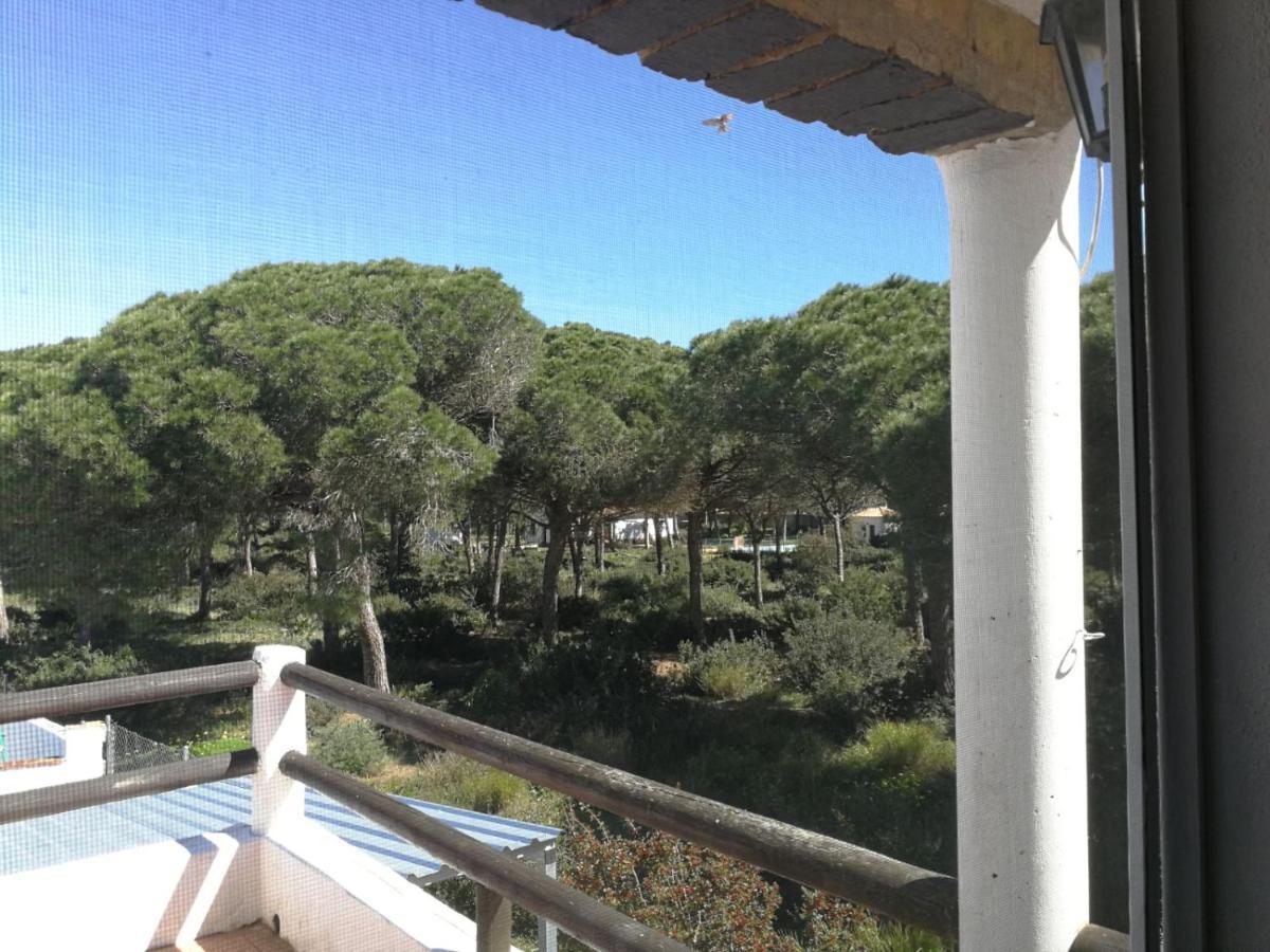 Villa Conil โกนิล เด ลาฟรอนเตรา ภายนอก รูปภาพ