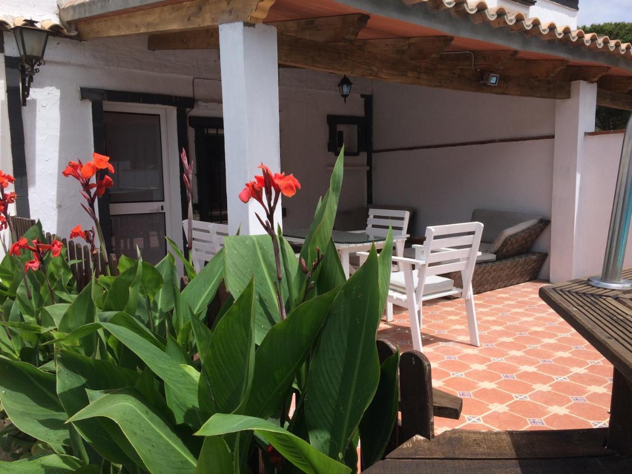 Villa Conil โกนิล เด ลาฟรอนเตรา ภายนอก รูปภาพ